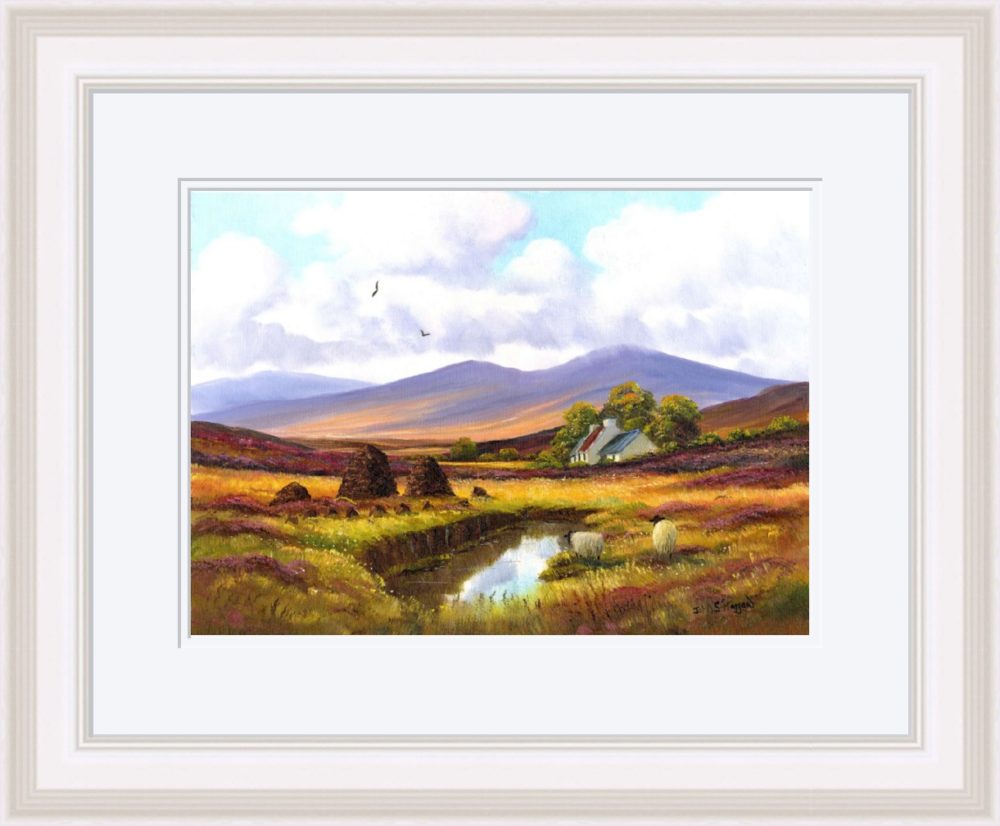 Turf in The Sperrins Print (Large) in White Frame