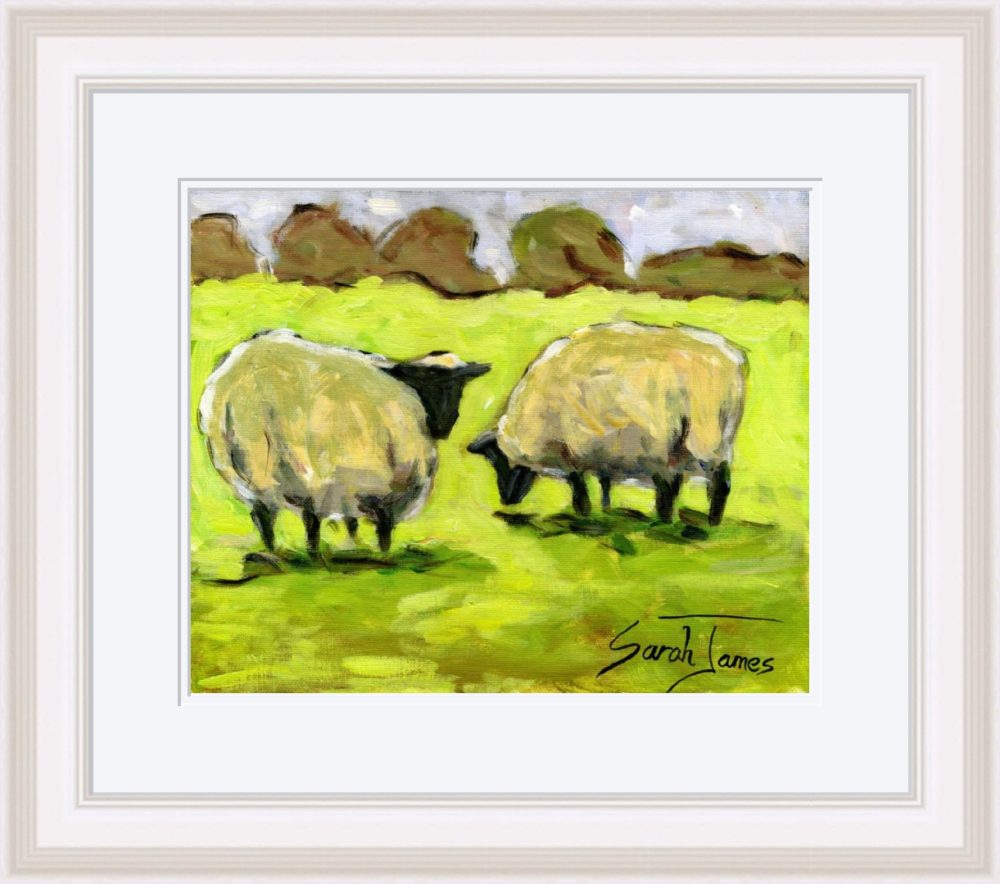The Two Sheep Print In White Frame