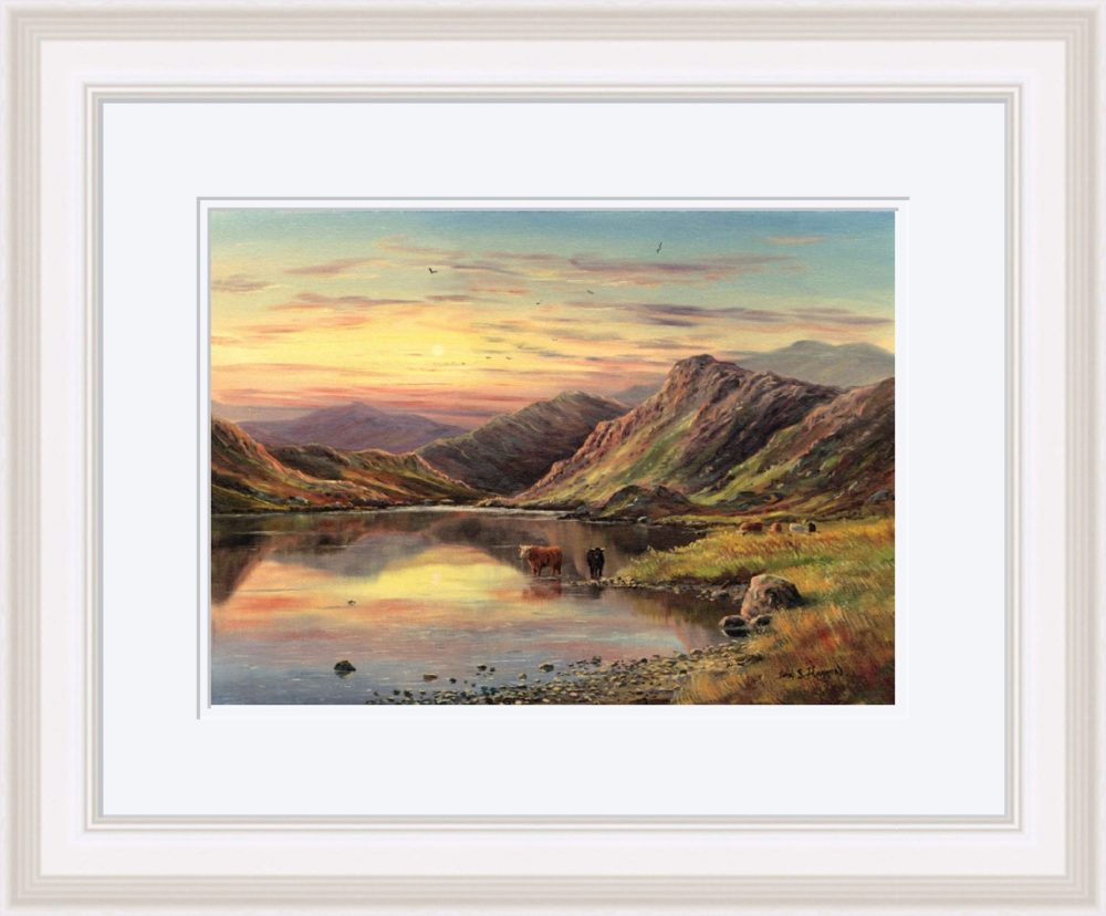 Highland Cattle Print (Large) in White Frame
