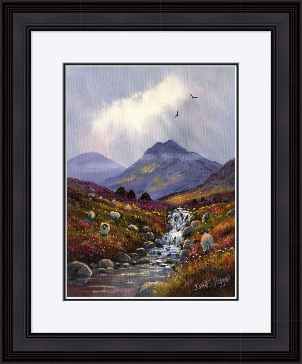 Stream in the Mournes Print (Large) in Black Frame