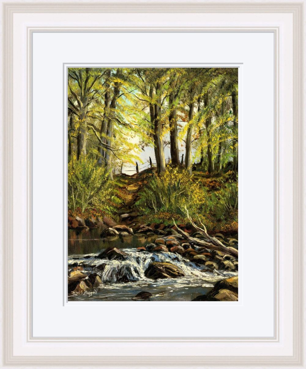Stream At Willbrook Print (Large) in White Frame