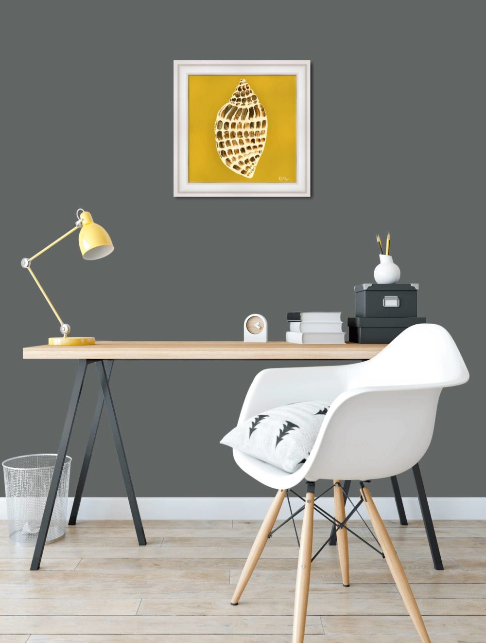 Shell Collector in White Frame in room