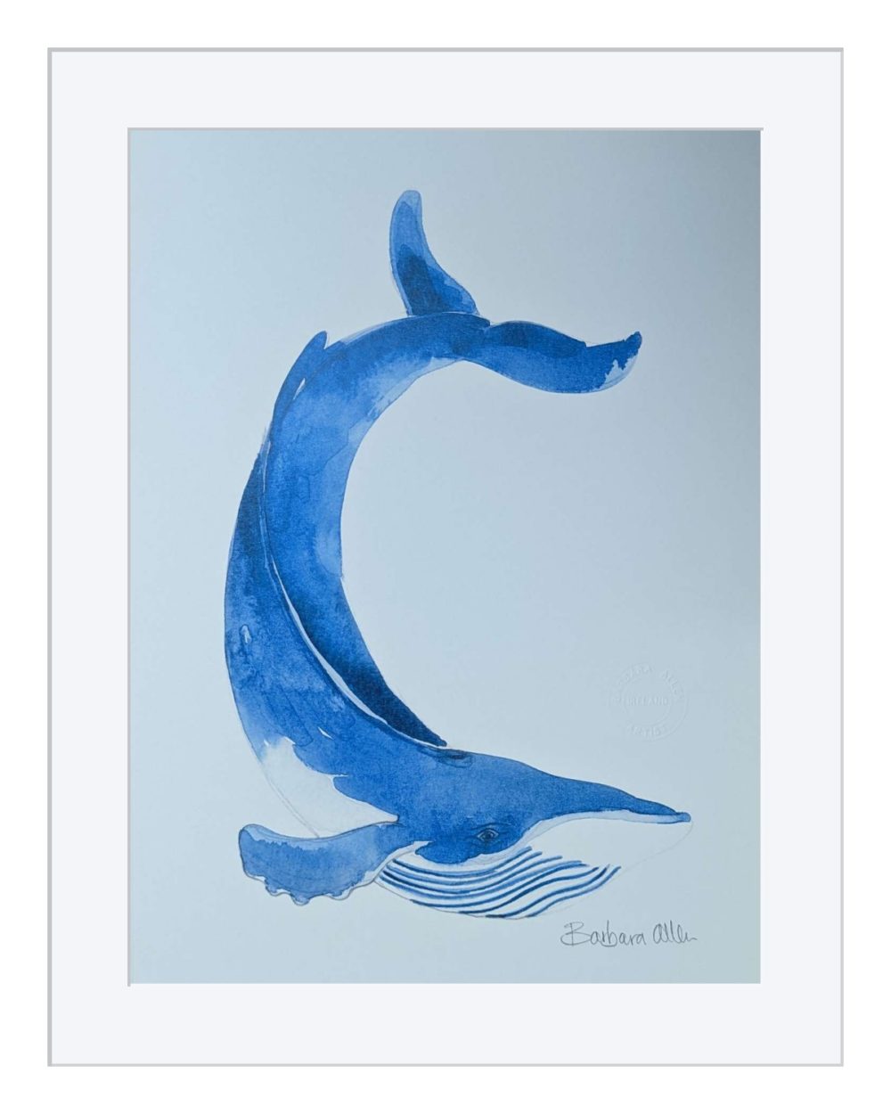Blue Whale Print In White Frame