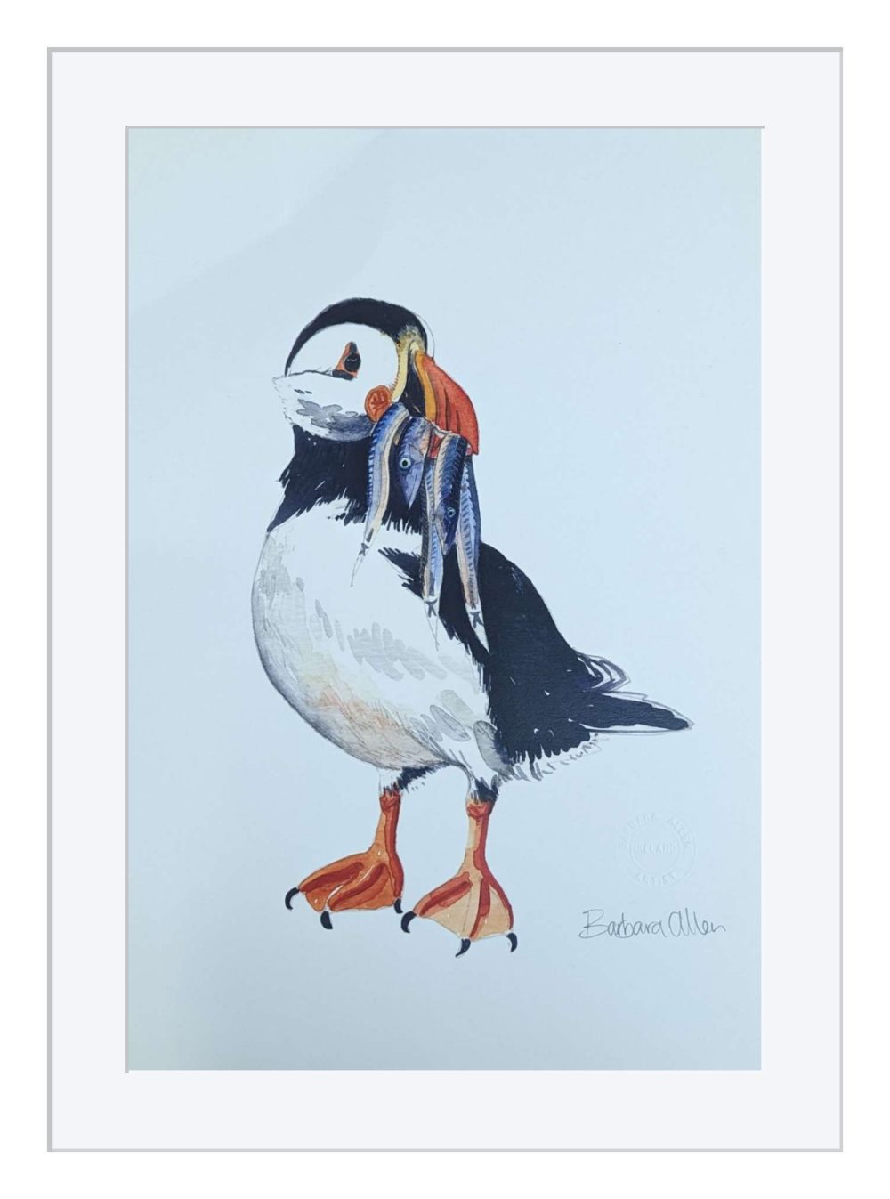 Puffin Print In White Frame