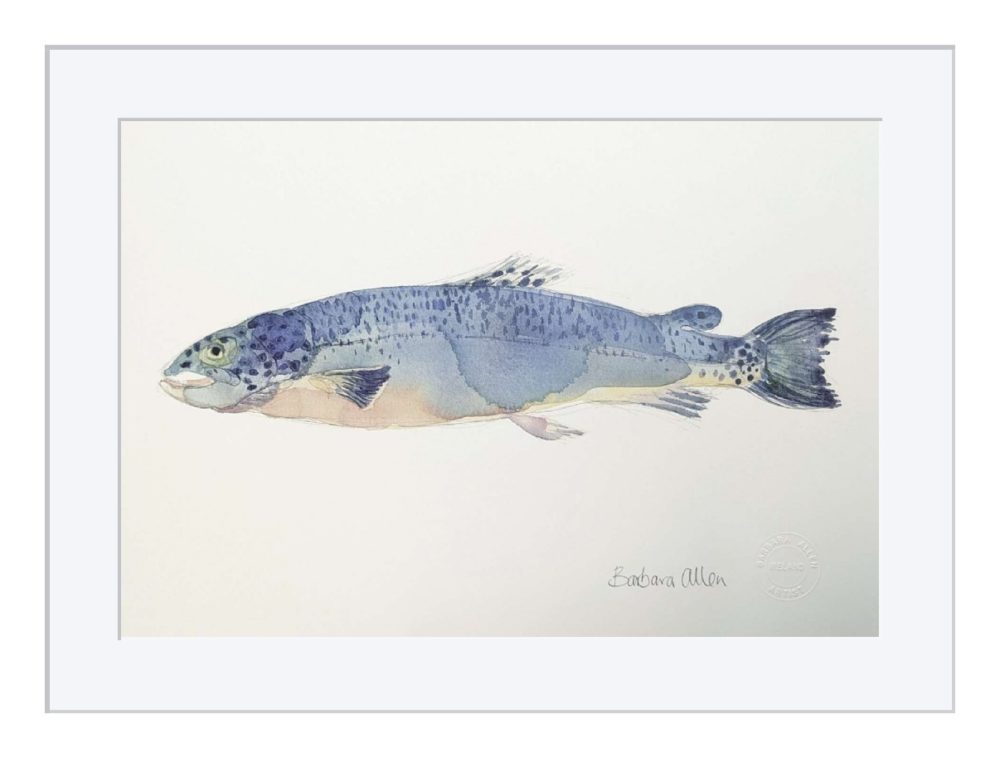 Salmon Print In White Frame