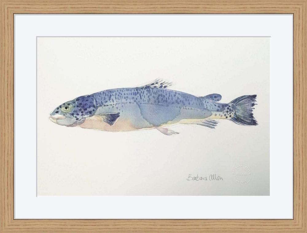 Salmon Print In Wooden Frame