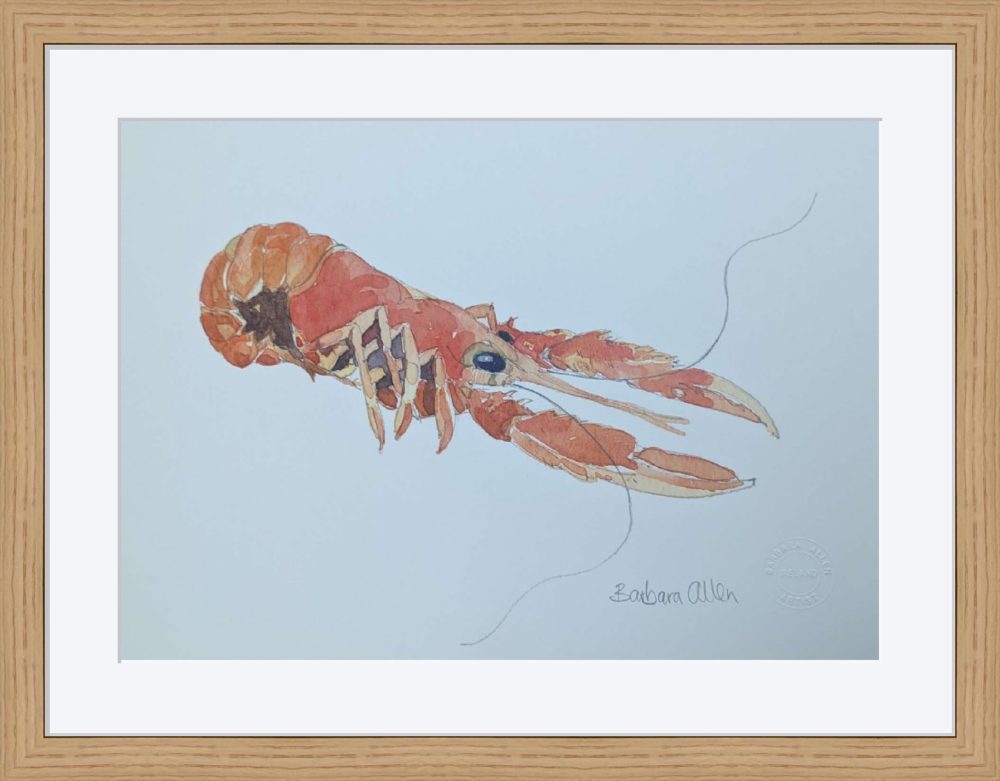 The Langoustine Print In Wooden Frame