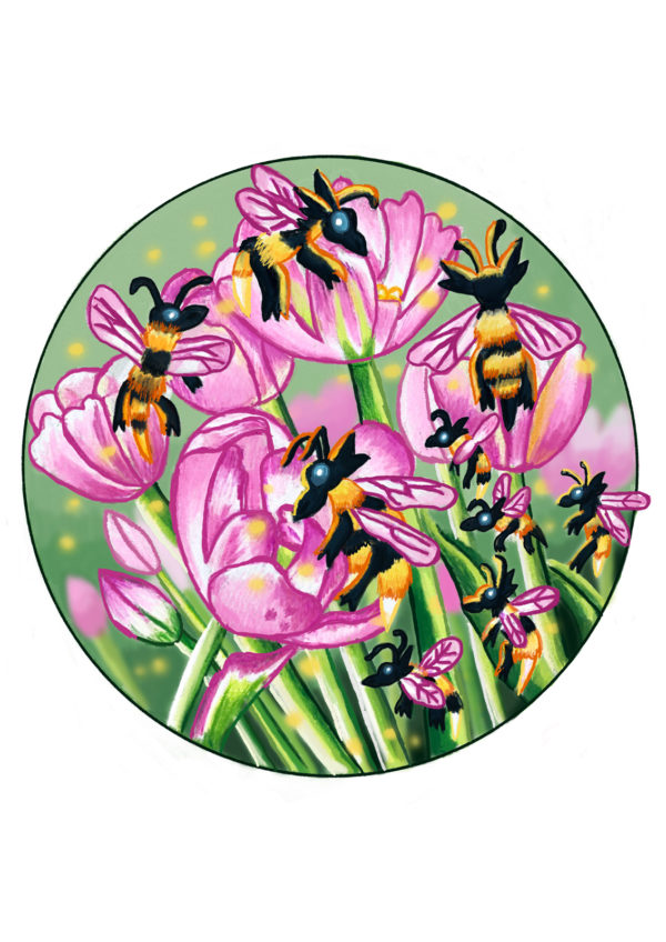 Bumble Bee's and Tulips Print