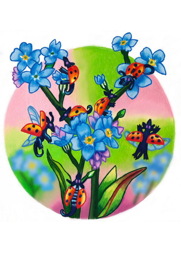 Ladybirds With Forget Me Nots Print