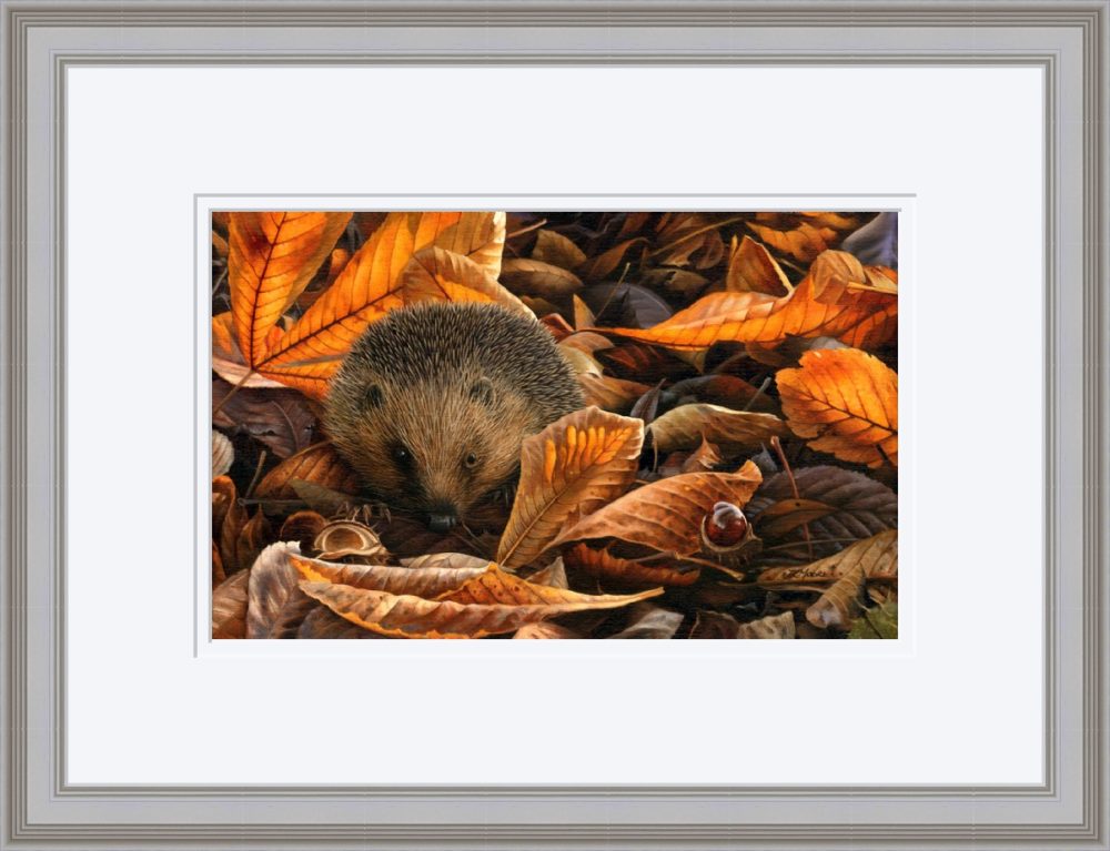 Hedgehog Print In Grey Frame